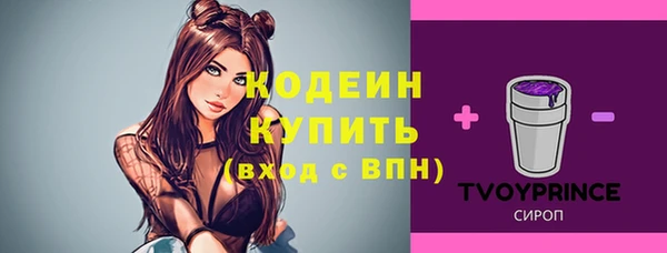 мяу мяу мука Бородино