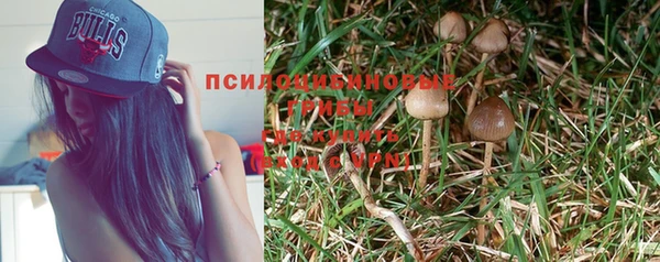 мяу мяу мука Бородино