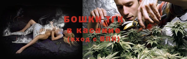мяу мяу мука Бородино